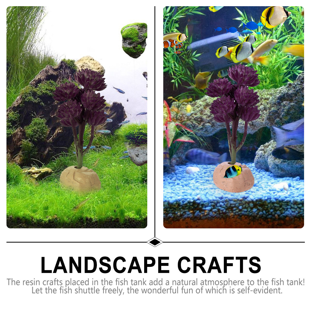 Non Planted Aquarium Fish - Dekorasi Tanaman Akuarium Teratai Tujuh Kepala