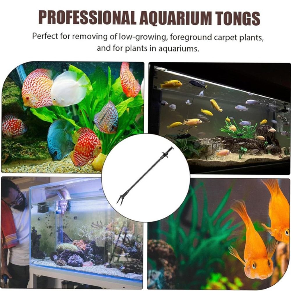 Non Planted Aquarium Fish - 1 Buah Penjepit Plastik Akuarium 50Cm