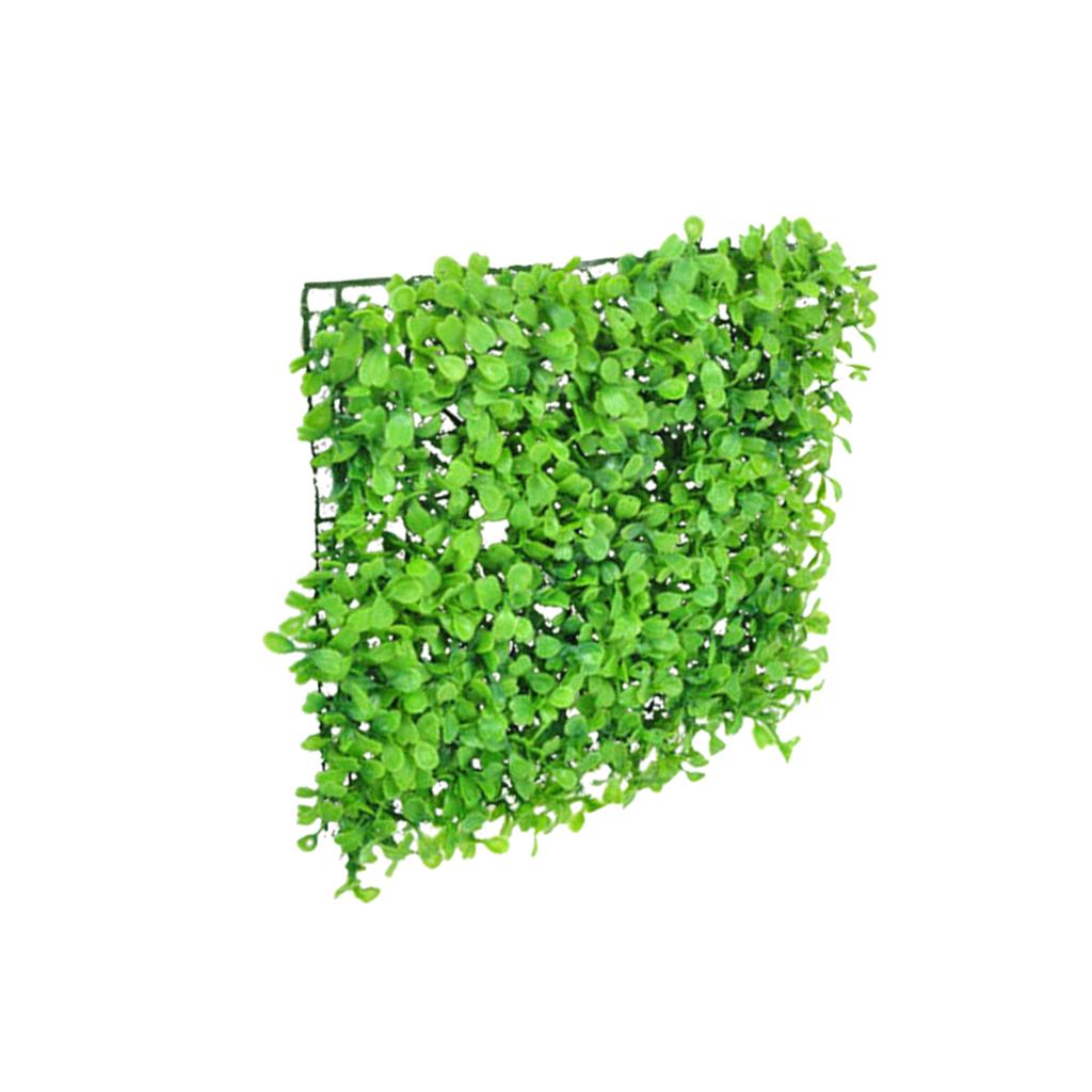 Aquarium Planted Set Up - Rumput sintetis resin plastik untuk akuarium,