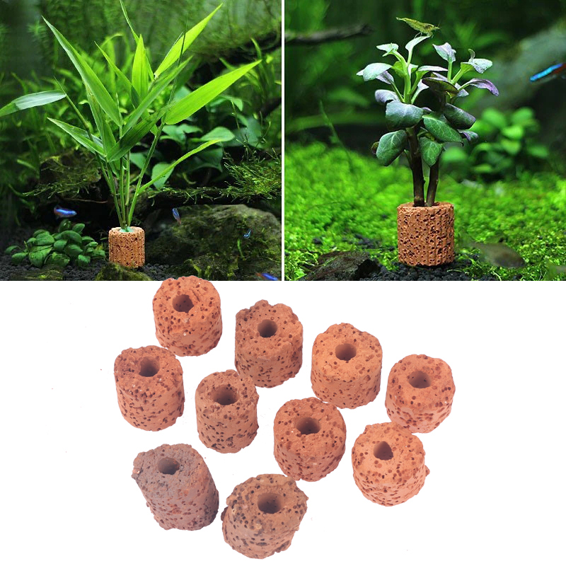 Aquarium Planted Set Up - 10 Buah Cincin Tanaman Air Mini