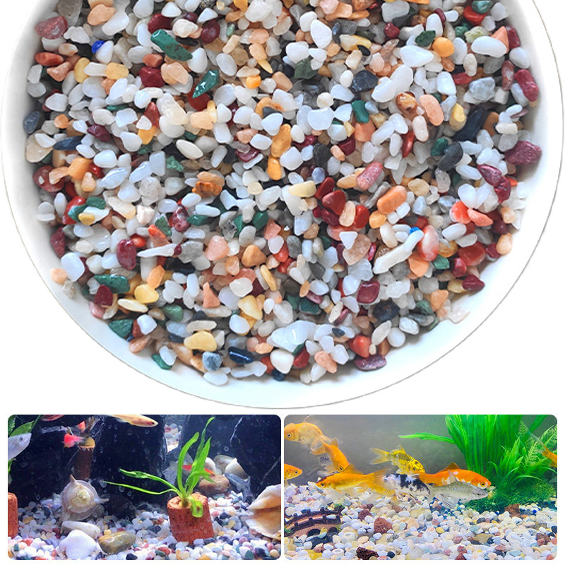 Planted Aquarium With Gravel - Batu Kerikil Alami 200 ~ 1000G