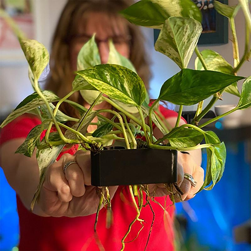 Aquarium Planted Set Up - 1 2 3 Buah Rak Penyangga