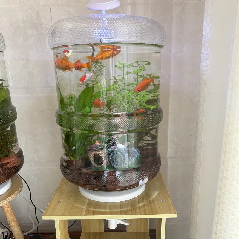 Aquarium Planted Set Up - Akuarium Plastik Kreatif Bentuk Ember Air