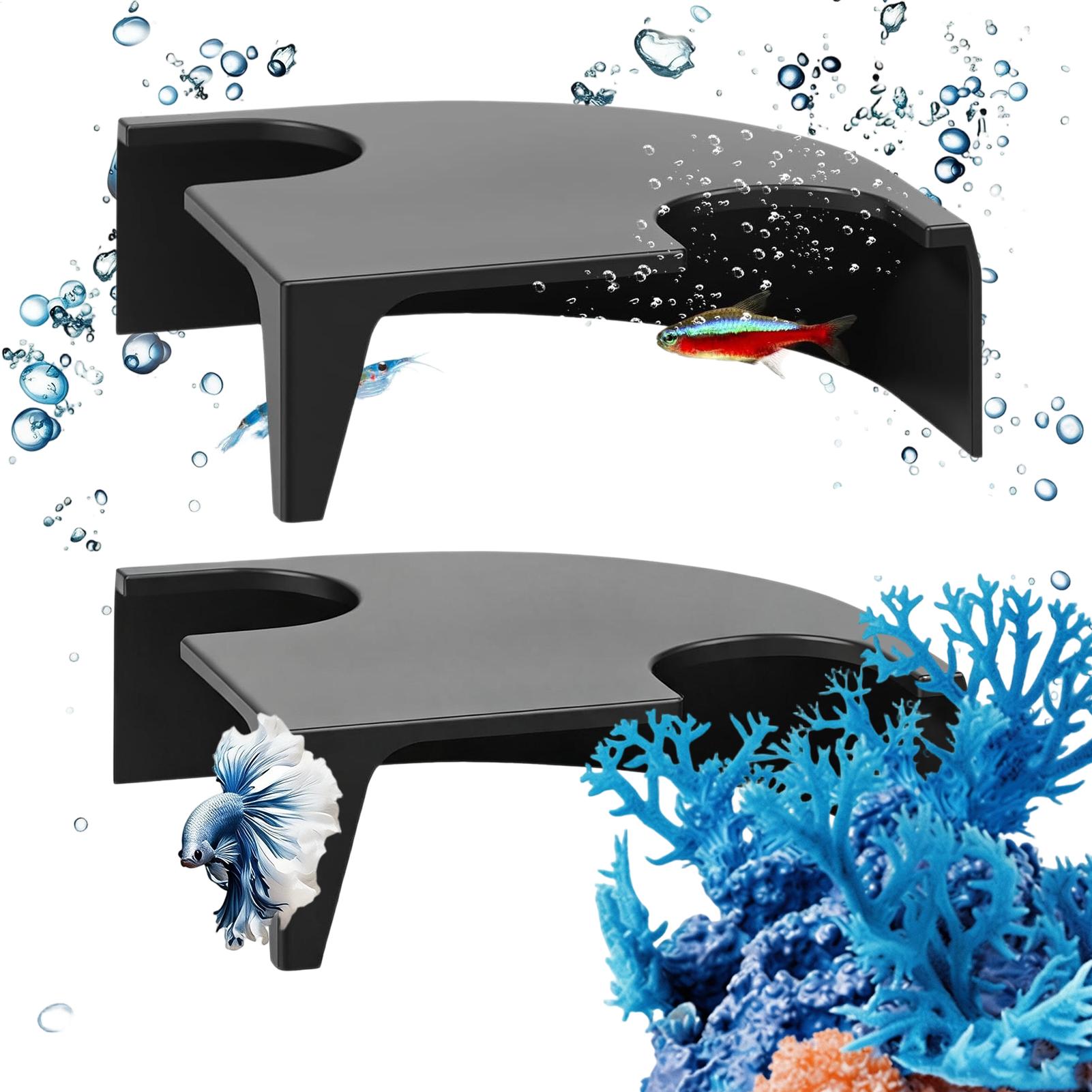 Gua Ikan untuk Lanskap Akuariu - Non Planted Aquarium Fish ulasan dan harga