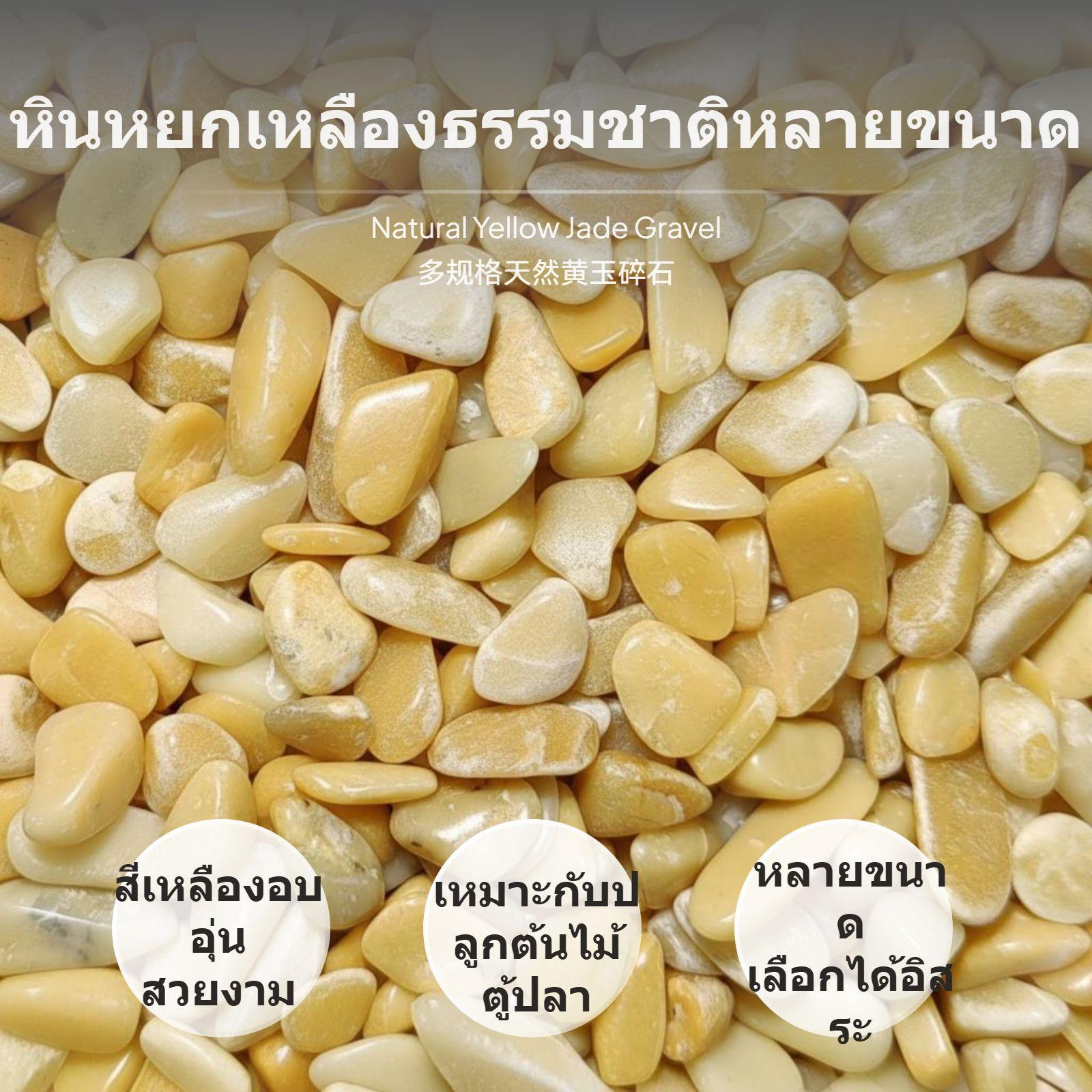 Batu Kerikil Topaz, Batu Hijau - Planted Aquarium With Gravel ulasan dan harga