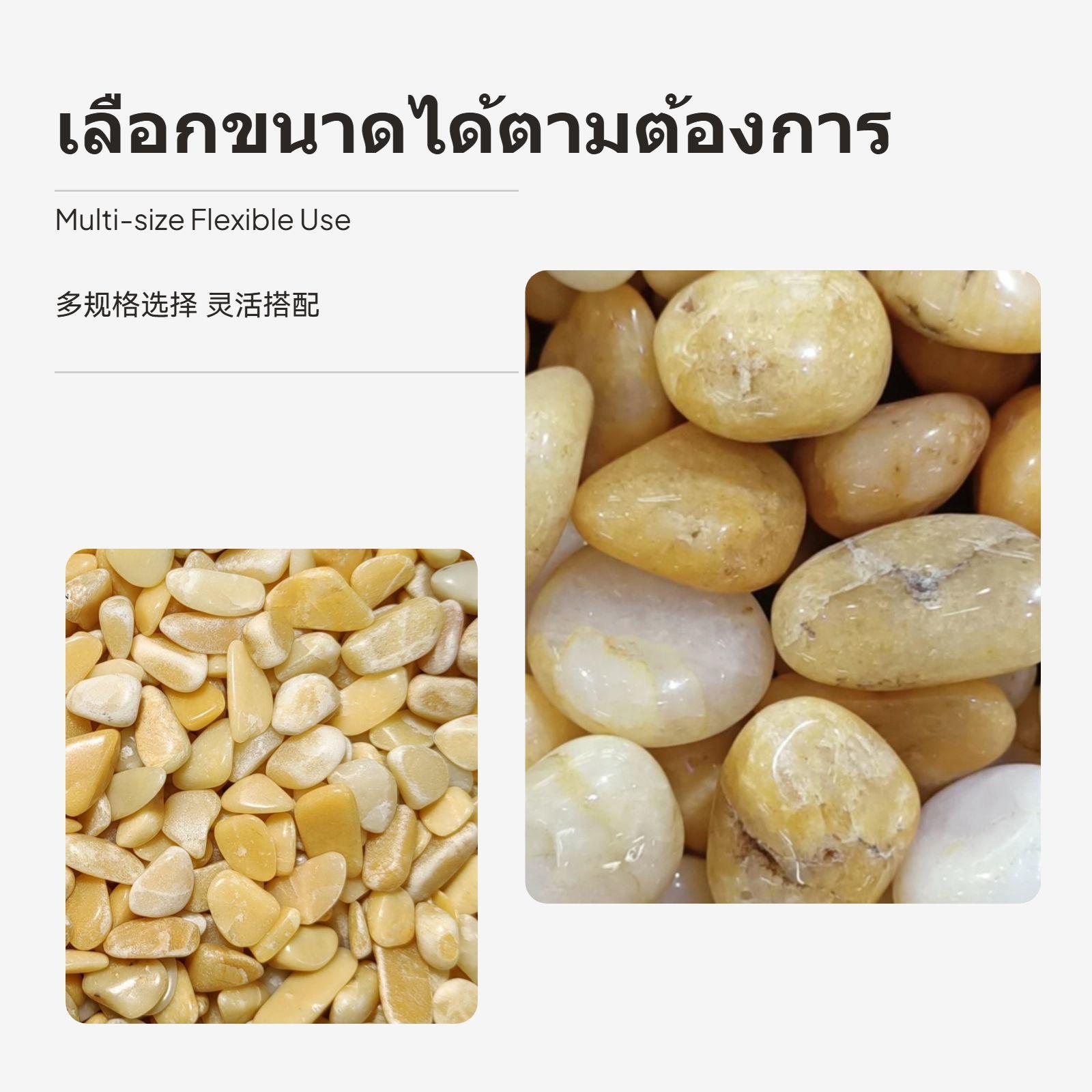 Batu Kerikil Topaz, Batu Hijau - Planted Aquarium With Gravel ulasan dan harga