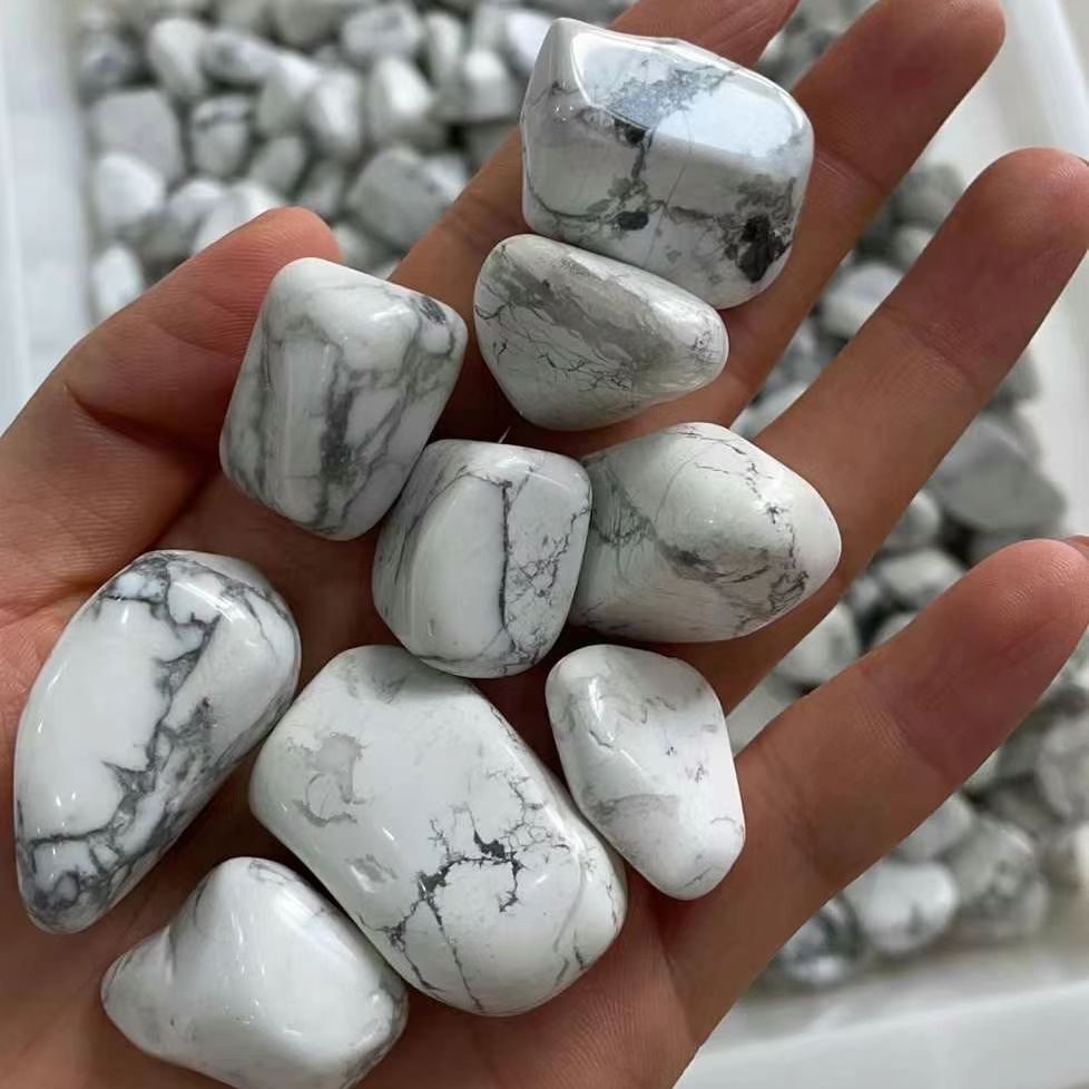 Batu Turquoise Putih Alami Kas - Planted Aquarium With Gravel ulasan dan harga