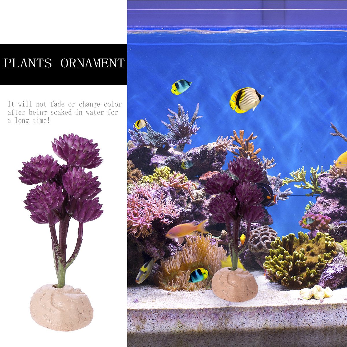 Dekorasi Tanaman Akuarium Tera - Non Planted Aquarium Fish ulasan dan harga