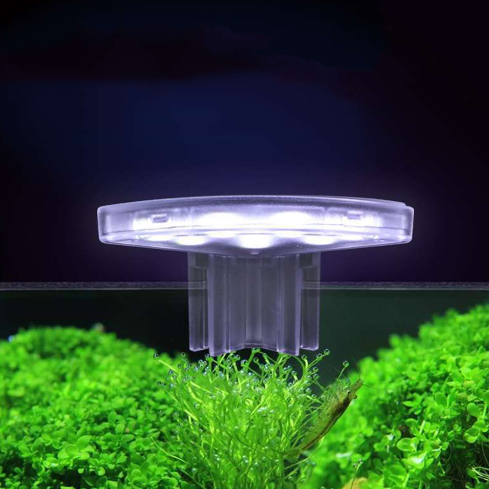 Lampu Tumbuh Tanaman LED Lampu - Aquarium Plant Easy To Grow ulasan dan harga