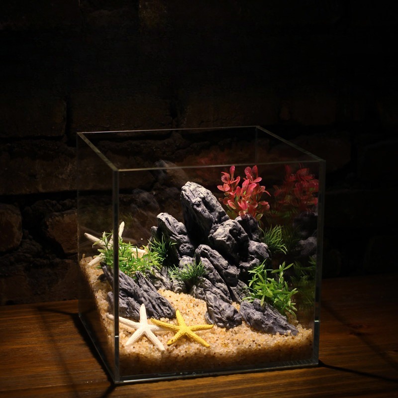 Dekorasi Akuarium Simulasi Bat - Aquarium Planted Set Up ulasan dan harga