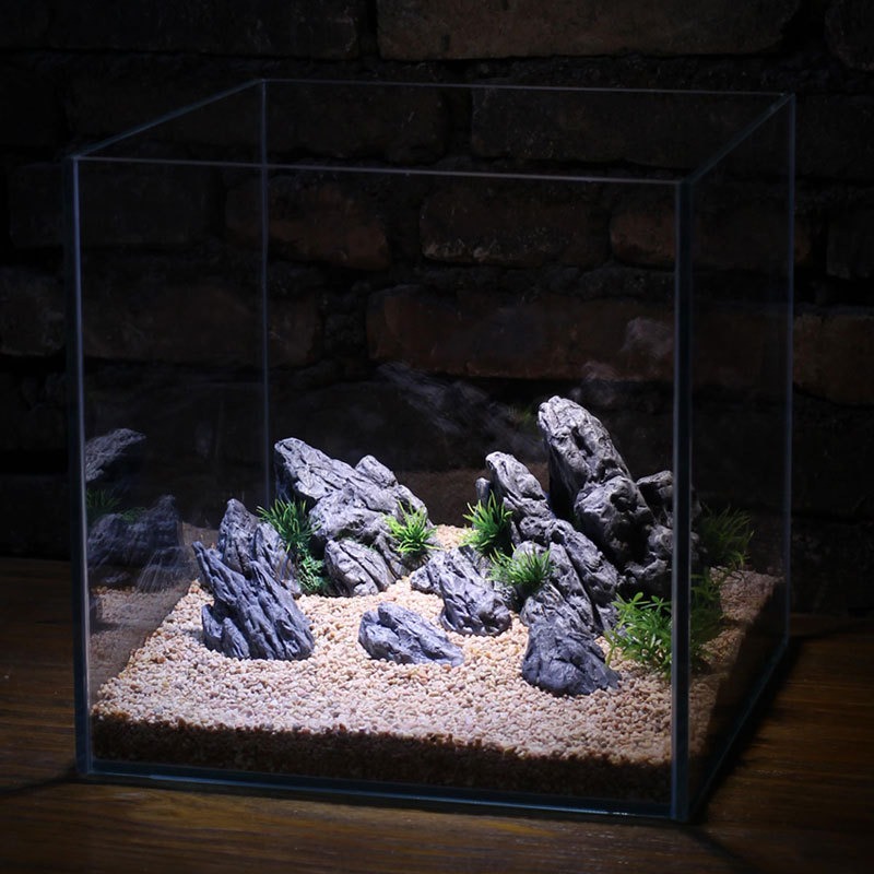 Dekorasi Akuarium Simulasi Bat - Aquarium Planted Set Up ulasan dan harga