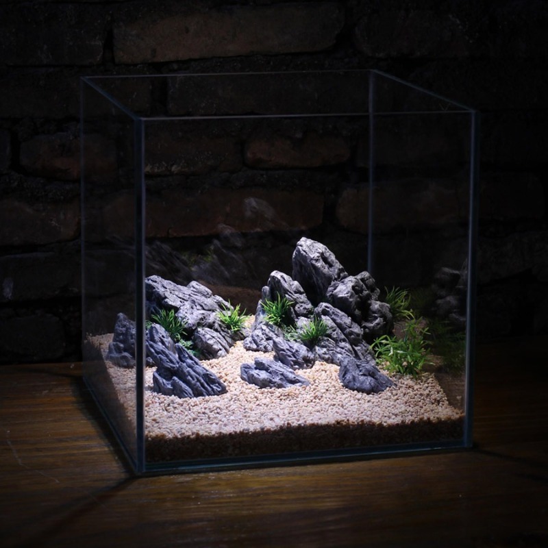 Dekorasi Akuarium Simulasi Bat - Aquarium Planted Set Up ulasan dan harga