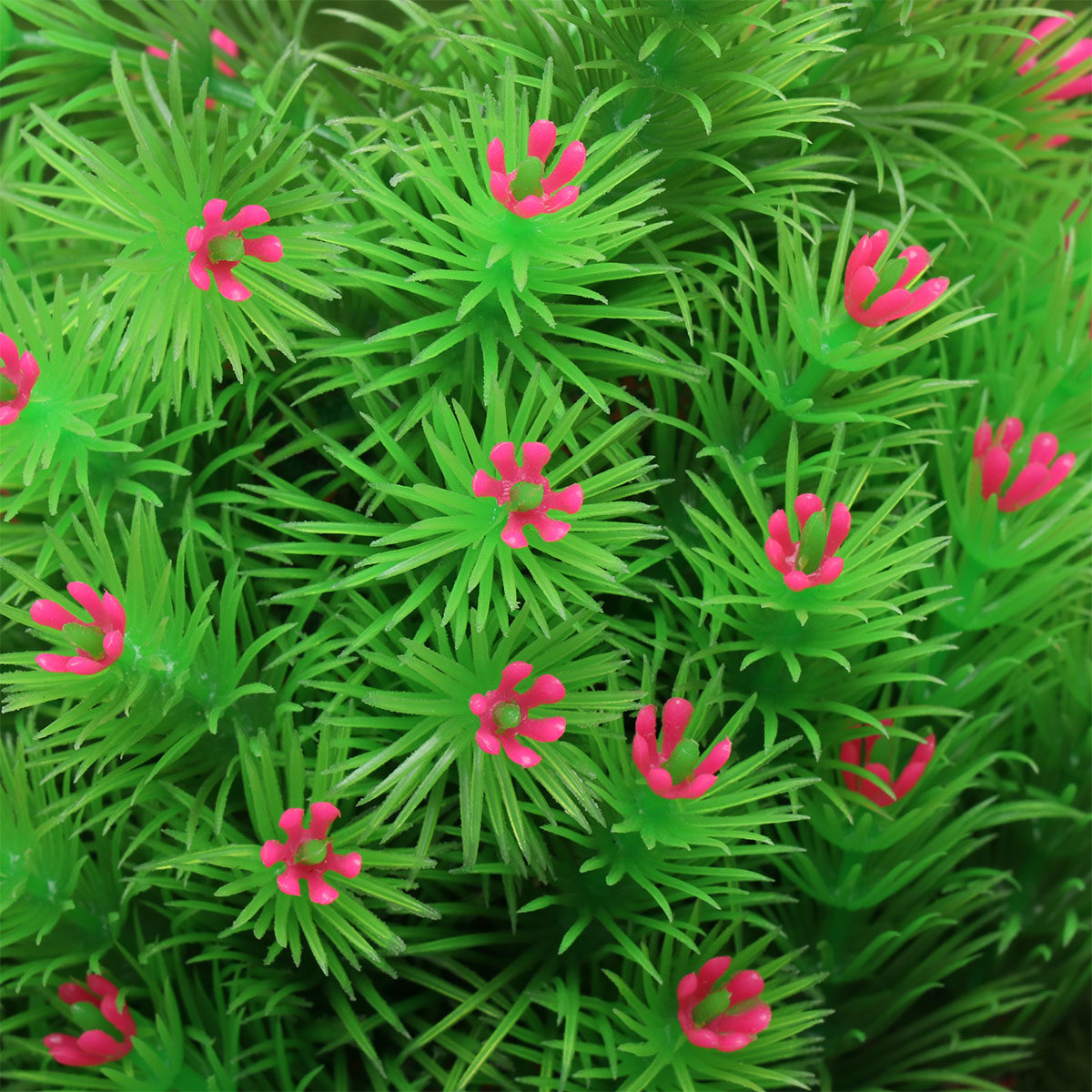 Tanaman Buatan Mirip Asli Deko - Aquarium Planted Set Up ulasan dan harga