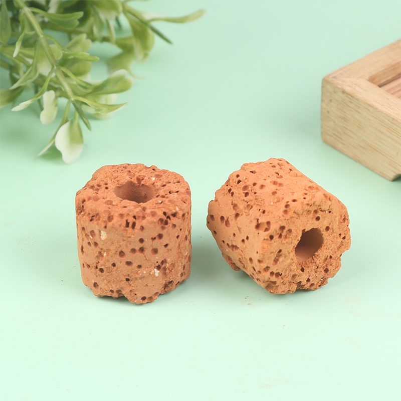 10 Buah Cincin Tanaman Air Min - Aquarium Planted Set Up ulasan dan harga