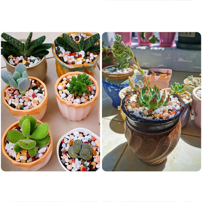 Aksesori DIY Pasir Dasar Tangk - Planted Aquarium With Gravel ulasan dan harga