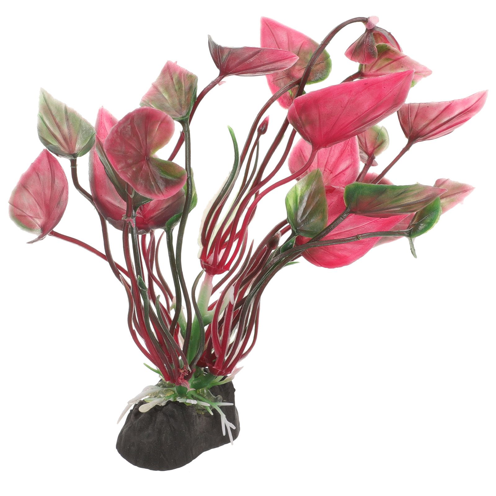 Tanaman Akuarium Plastik Mirip - Aquarium Planted Set Up ulasan dan harga