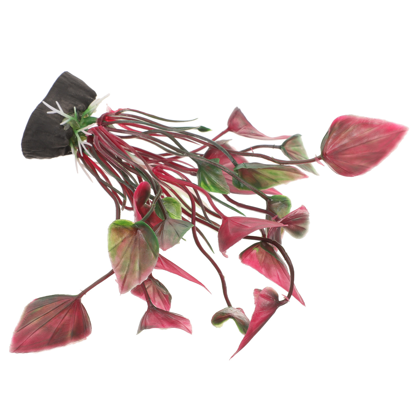 Tanaman Akuarium Plastik Mirip - Aquarium Planted Set Up ulasan dan harga