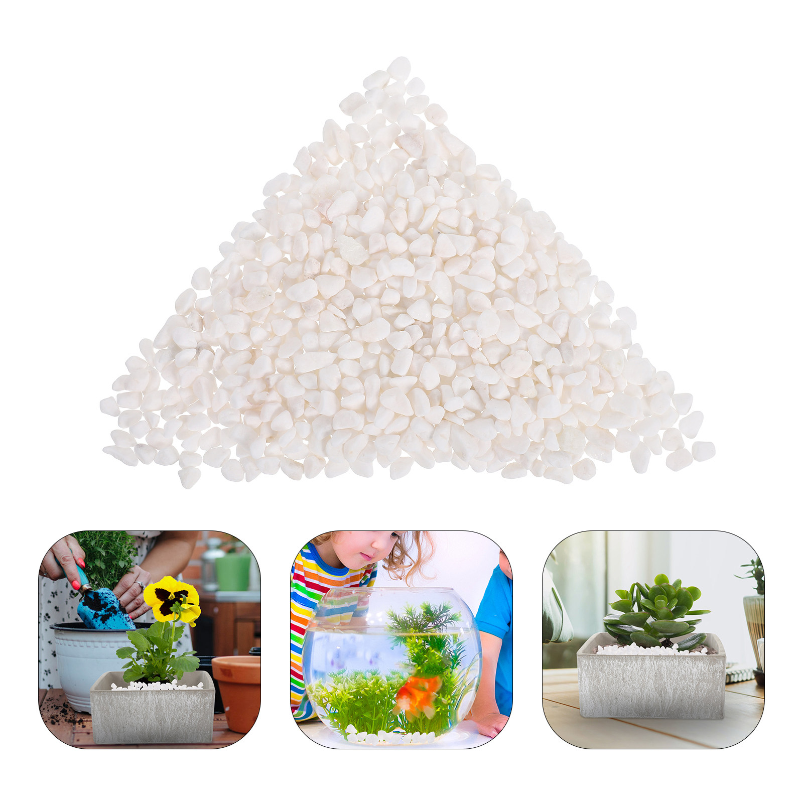Batu Kerikil Alami Dekoratif 2 - Planted Aquarium With Gravel ulasan dan harga