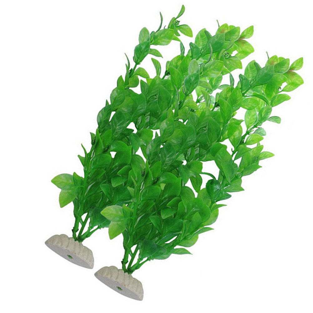 4 Buah Tanaman Akuarium Buatan - Non Planted Aquarium Fish ulasan dan harga