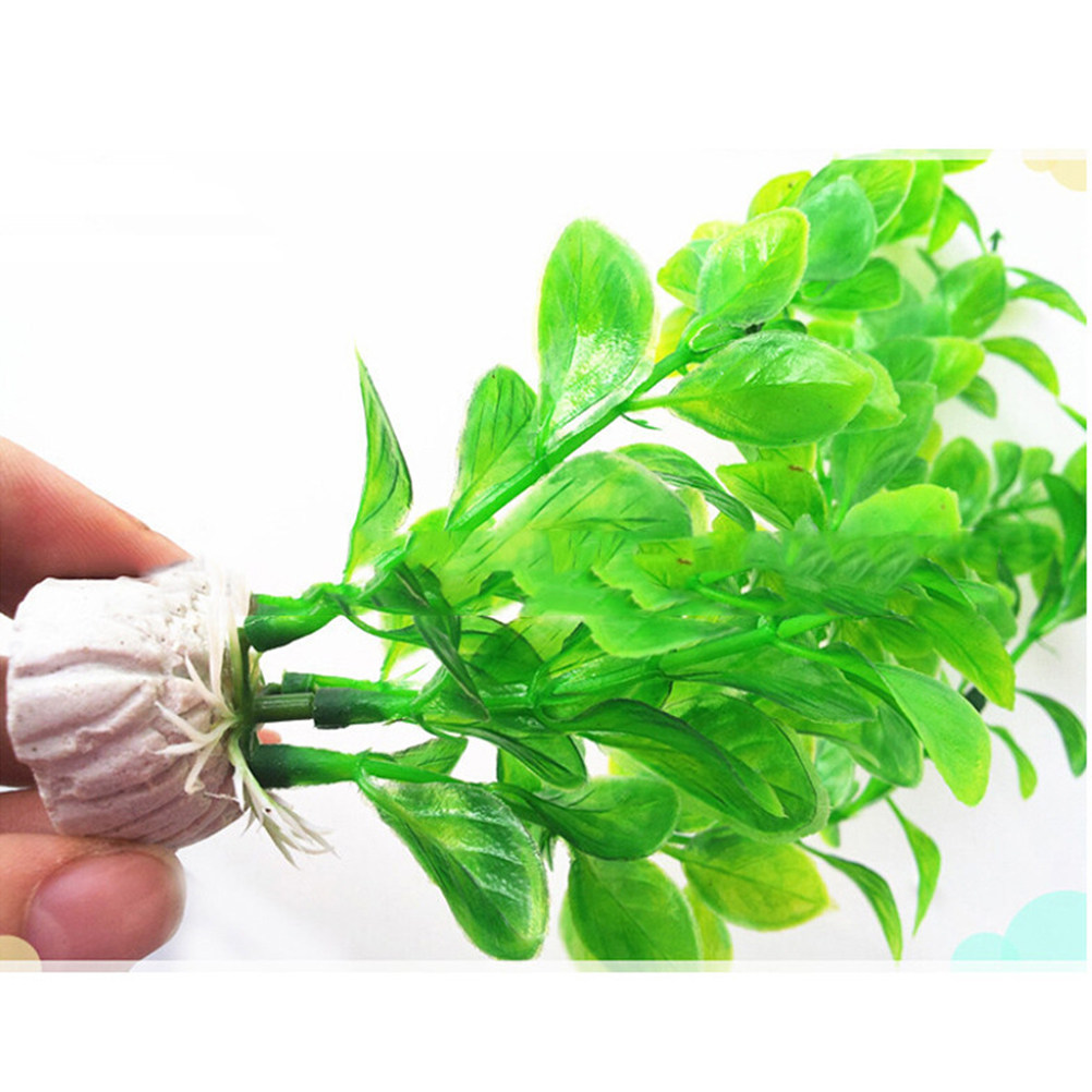 4 Buah Tanaman Akuarium Buatan - Non Planted Aquarium Fish ulasan dan harga