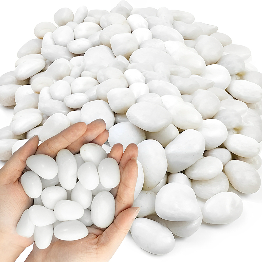 1/2Lb Kerikil Akuarium Putih D - Planted Aquarium With Gravel ulasan dan harga