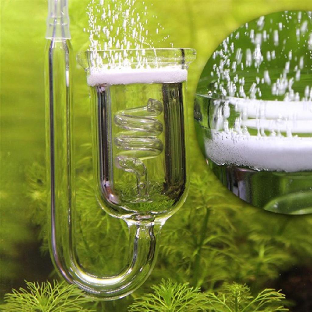 Diffuser CO2 Kaca Tahan Lama,  - Aquarium Planted Set Up ulasan dan harga