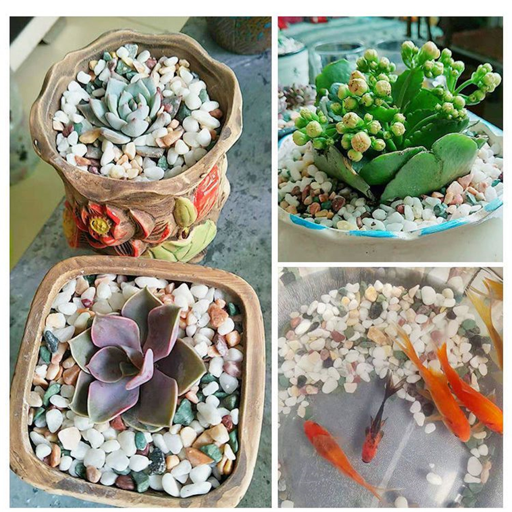 100g Batu Kerikil Kristal Alam - Planted Aquarium With Gravel ulasan dan harga