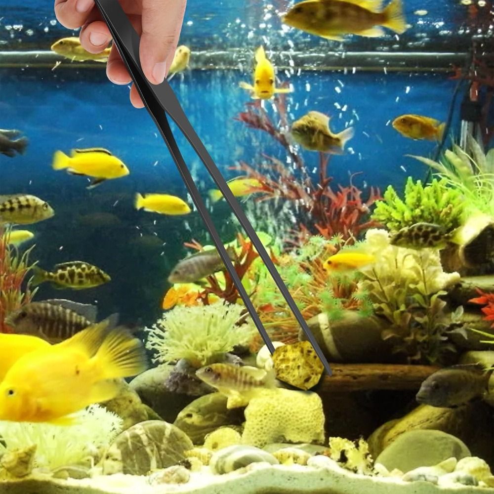 Pinset Akuarium Panjang dari B - Non Planted Aquarium Fish ulasan dan harga