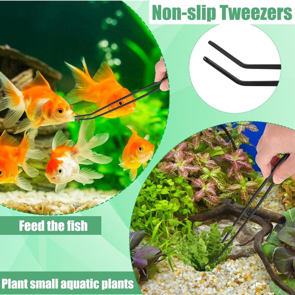 Pinset Akuarium Panjang dari B - Non Planted Aquarium Fish ulasan dan harga