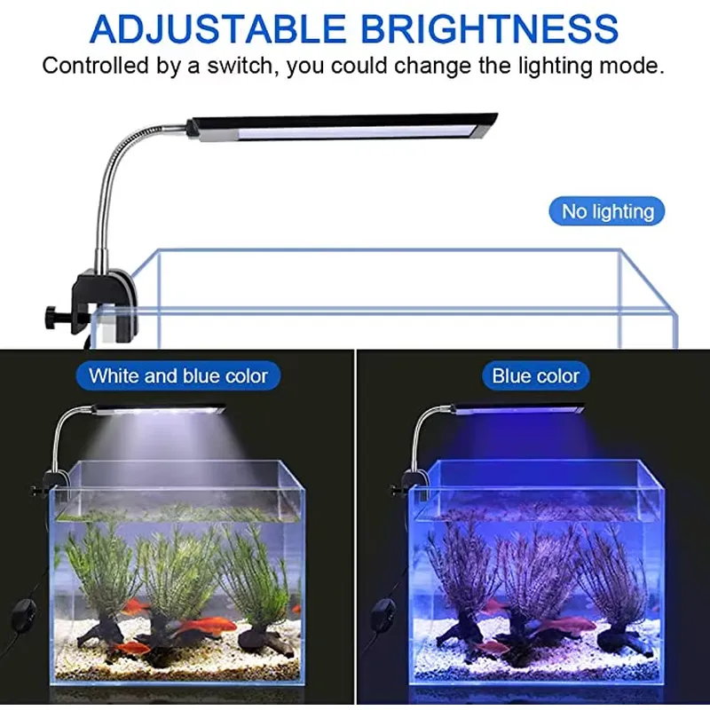 Selang Logam yang Dapat Disesu - Aquarium Plant Easy To Grow ulasan dan harga