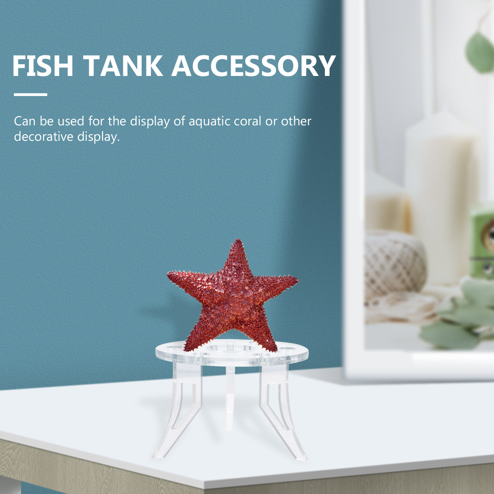 1 Buah Aksesori Akuarium Kokoh - Aquarium Planted Set Up ulasan dan harga