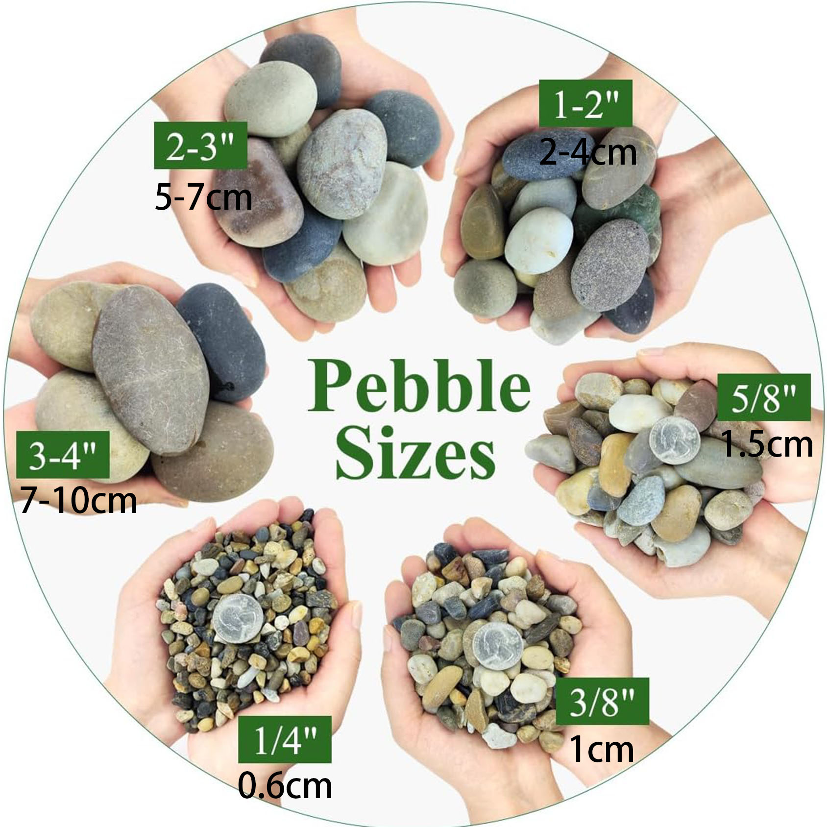 Batu Sungai Alami, Kerikil Aku - Planted Aquarium With Gravel ulasan dan harga